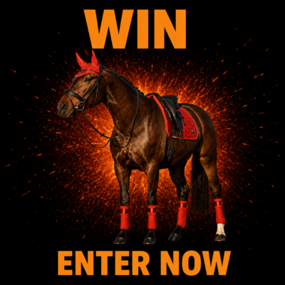 Win a LeMieux Loire Set in Sienna (Small-medium) 3 piece, Dressage saddle pad, Polo bandages and Fly hood.