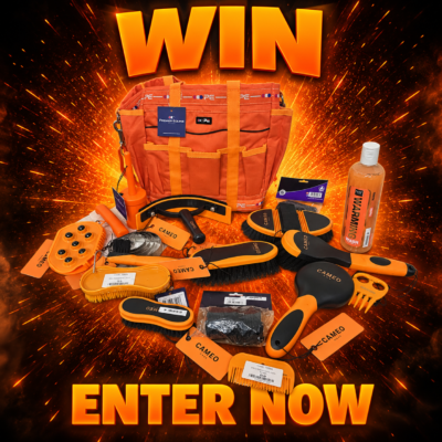 🧡 17 piece Orange/Black Grooming Bundle – RRP £102.62 🧡