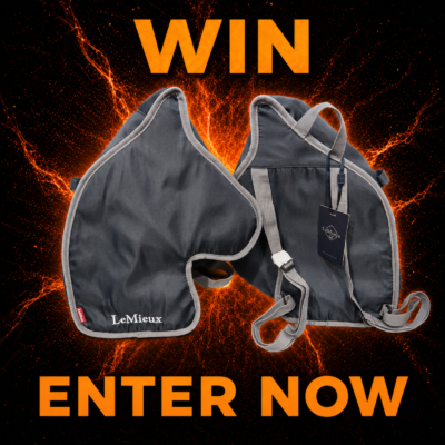 LeMieux Hobby Horse Carry Bag/BackPack